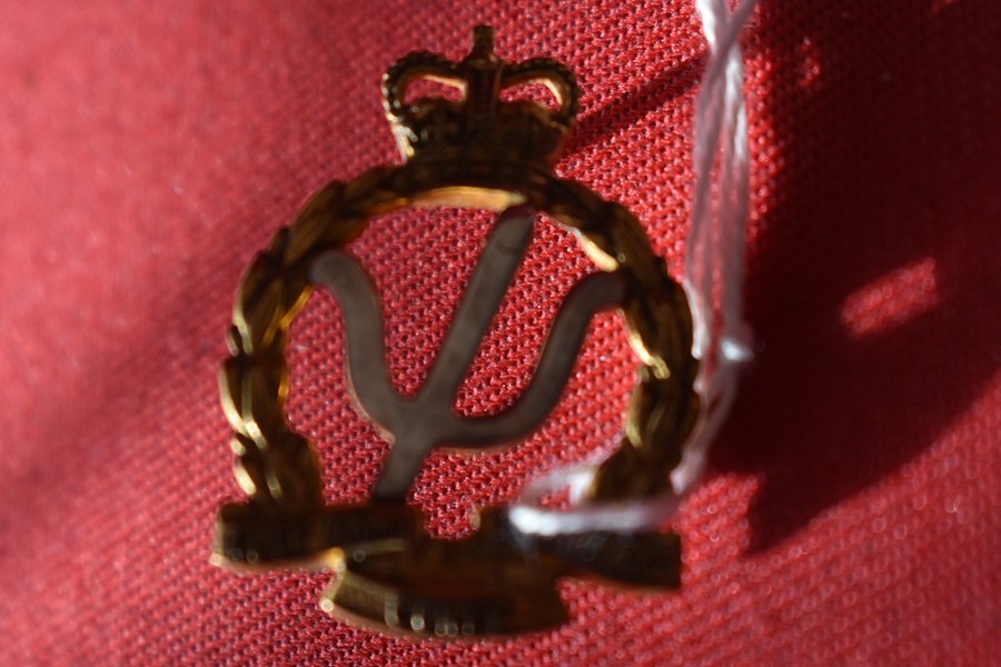 AUSTRALIAN ARMY HAT BADGE. PSYCHOLOGY CORPS. 53-60